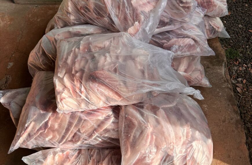 Motorista de van é detido com pescados irregulares na BR-163