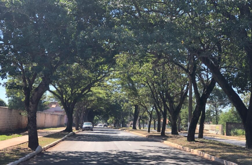 Consulta pública sobre Plano de Arborização Urbana acontece nesta sexta-feira