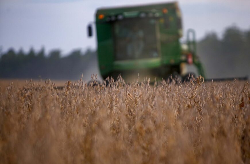 Soja enfrenta volatilidade com clima adverso; confira os dados de mercado