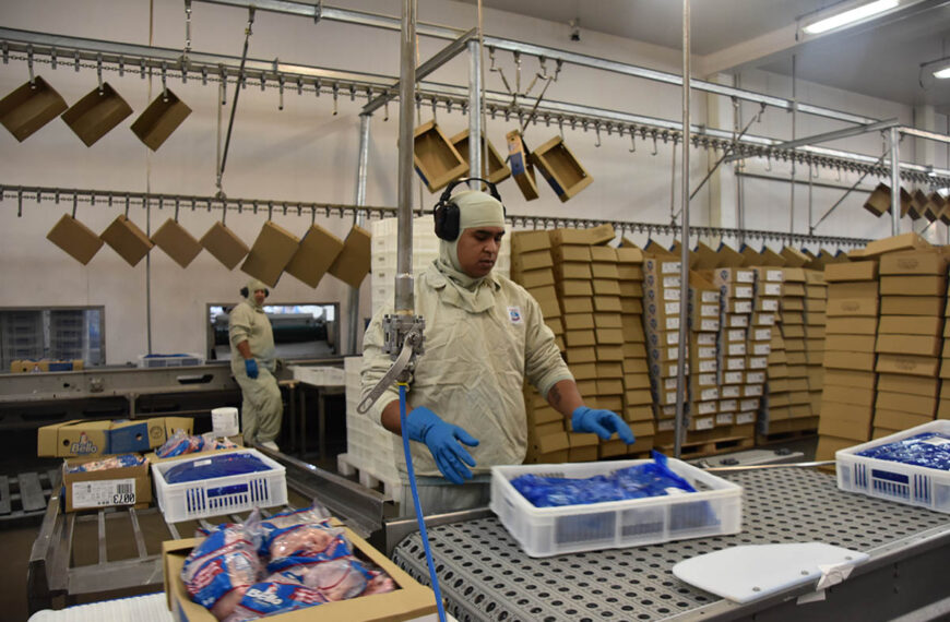 Receita com exportação de industrializados de MS alcança US$ 669 milhões em março