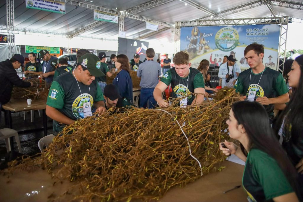 Laguna Carapã realiza o 25º Concurso Pé de Soja e comemora investimentos em infraestrutura Laguna Carapã realiza o 25º Concurso Pé de Soja e comemora investimentos em infraestrutura