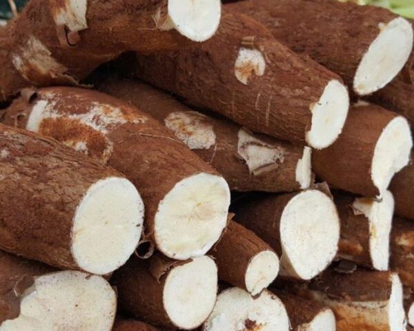 Mandioca é o produto mais comercializado na Ceasa de MS