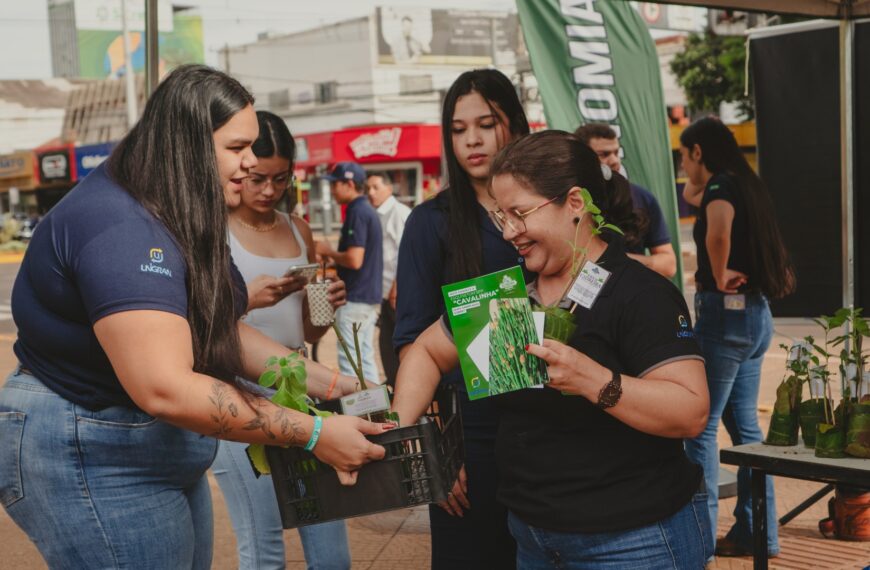 Ação de acadêmicos de Agronomia e Produção Agrícola incentiva uso de ervas medicinais