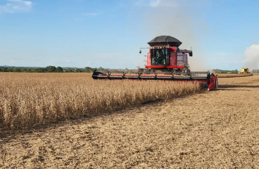 Dólar e demanda externa elevam preço da soja no Brasil