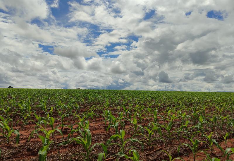 Ratificação de áreas em faixa de fronteira deve ser feita até outubro de 2025