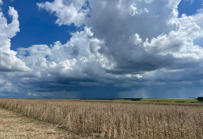 Colheita de soja para a safra 2024/2025 está chegando ao fim em MS