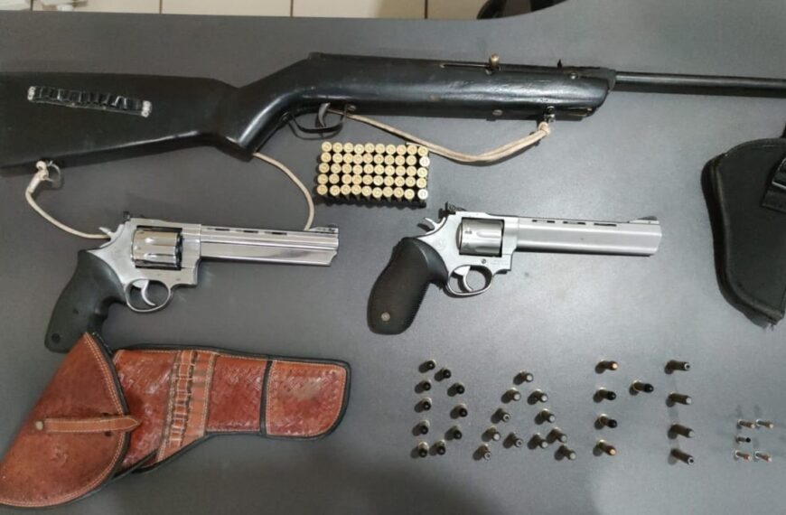Polícia apreende armamento em residência e fazenda em cidade de MS; homem é preso