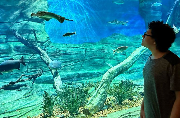 Bioparque Pantanal abrirá as portas para visitantes no Dia do Trabalhador