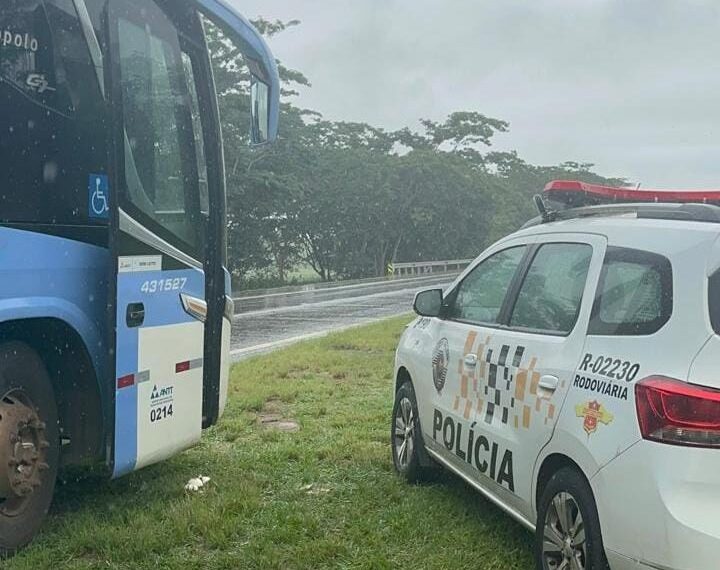 Bolivianos são presos com cocaína em São Paulo em ônibus que saiu de Campo Grande