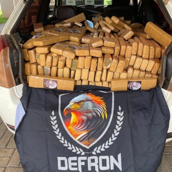 DEFRON apreende 700 quilos de maconha após denúncia anónima