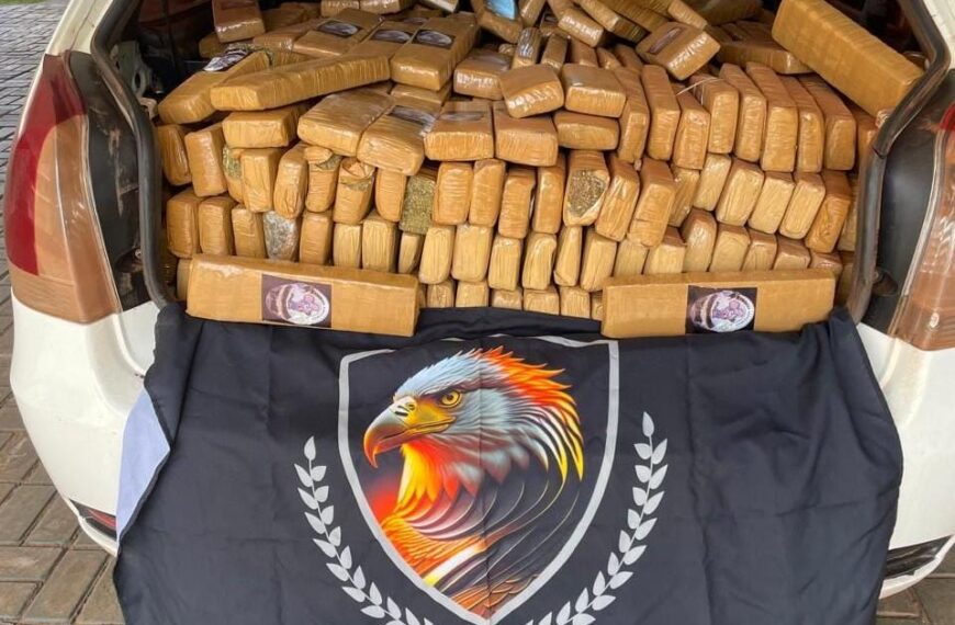 DEFRON apreende 700 quilos de maconha após denúncia anónima