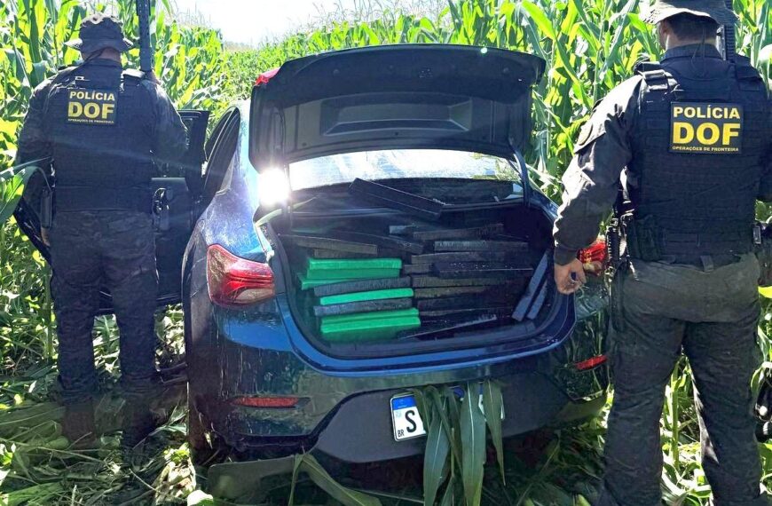 DOF apreende mais de meia tonelada de drogas em Amambai