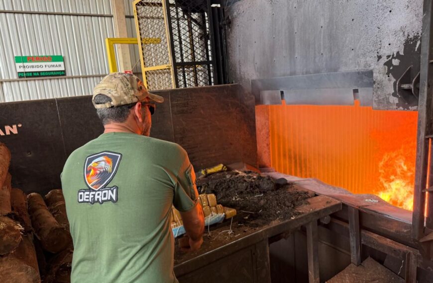 Mais de 11 toneladas de maconha são incineradas em Ponta Porã