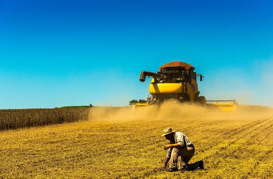 Tarifas de Trump colocam mercado da soja em alerta; preços recuam no Brasil