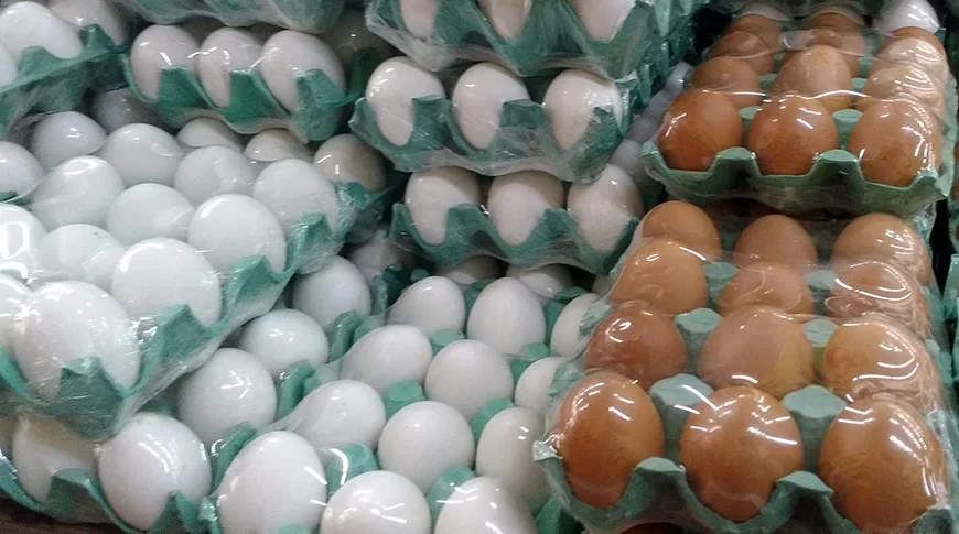 Preços dos ovos caem em março, e carne de frango volta a subir