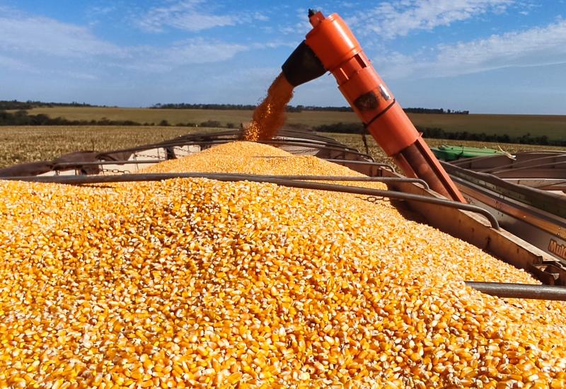 Produção de etanol de milho cresce no país e coloca MS entre os maiores produtores