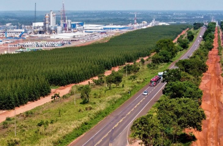 Governo de MS realiza leilão para concessão da Rota da Celulose na quinta-feira