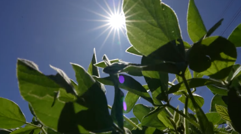 Sábado de muito sol em toda a fronteira