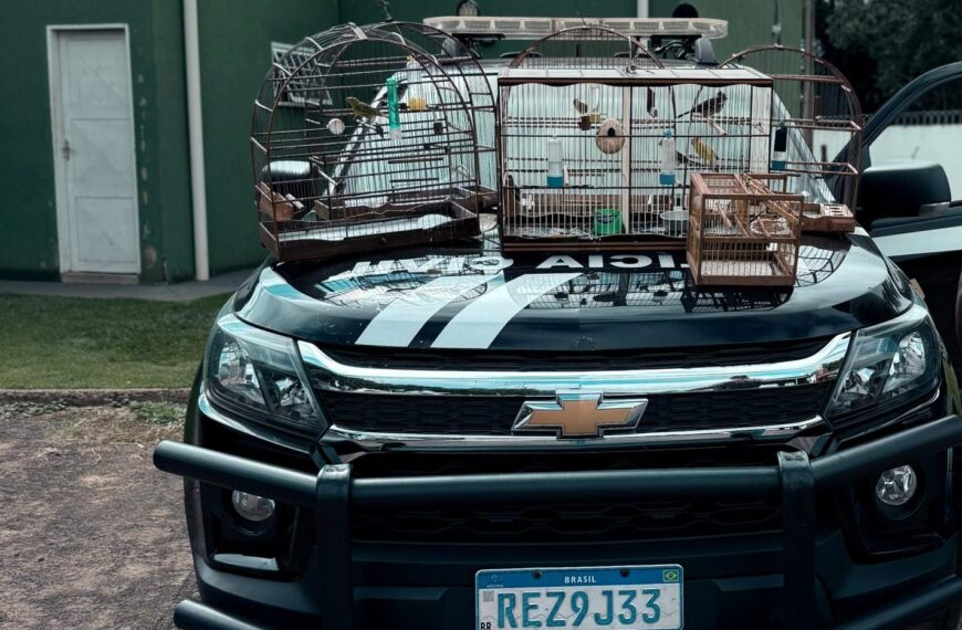 Polícia Civil identifica crime ambiental durante cumprimento de mandado