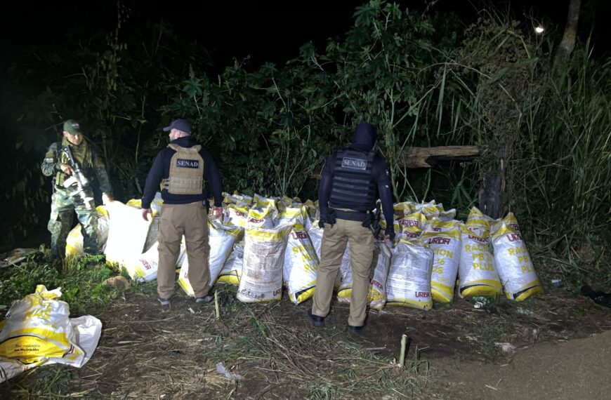 SENAD destrói logística de traficantes de maconha em Pedro Juan Caballero