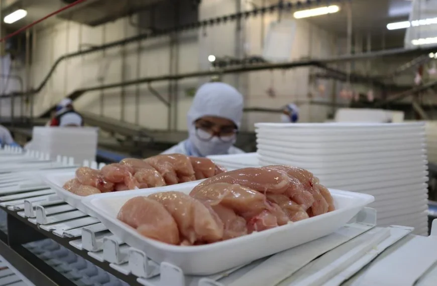Exportações de carne de frango de todo o país estão suspensas para 24 mercados, diz Fávaro
