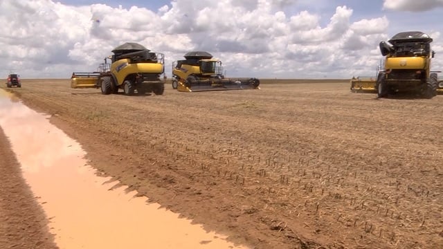 Como foi a primeira semana de maio no mercado de soja?