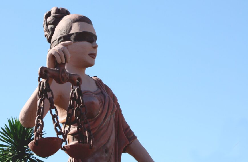 Homem é condenado em R$ 141 mil por manter filhotes de papagaio em cativeiro