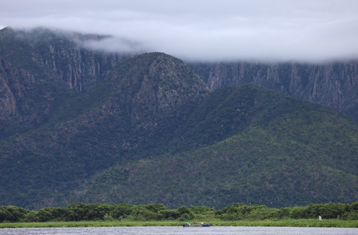 MS fortalece pauta ambiental com Fórum de Mudanças Climáticas e encontro regional