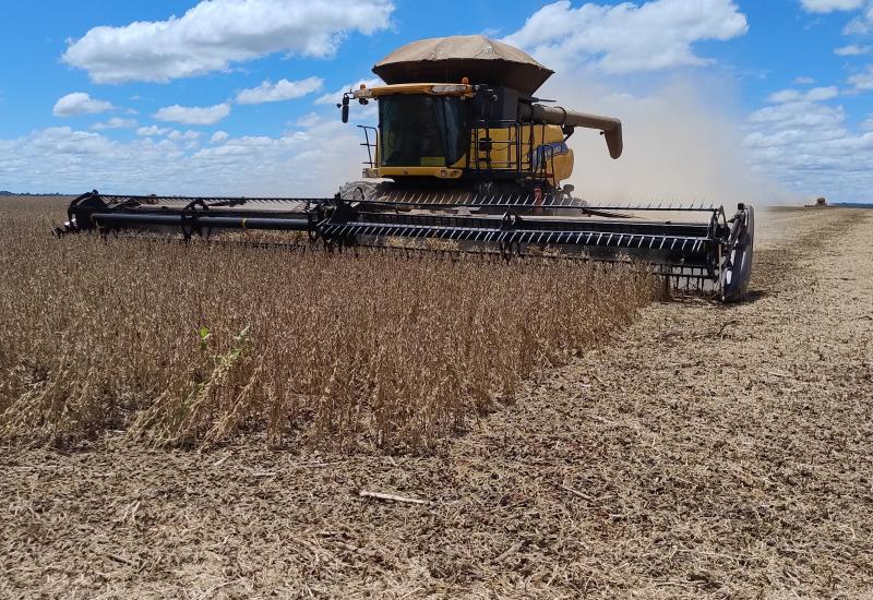 Produtividade estadual da safra de soja 24/25 é de 51,78 sacas por hectare
