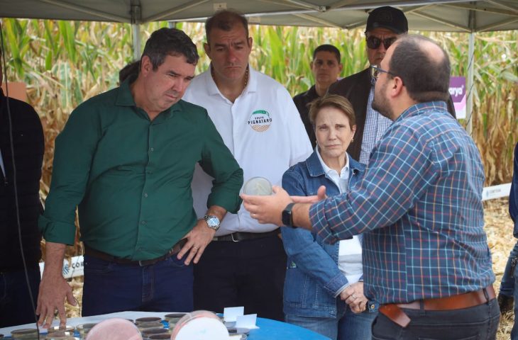 Governo de MS discute novas tecnologias e modelos para impulsionar produção de milho