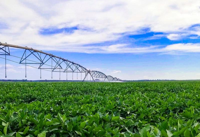 Irrigação impulsiona agricultura sustentável e coloca MS entre líderes na produção