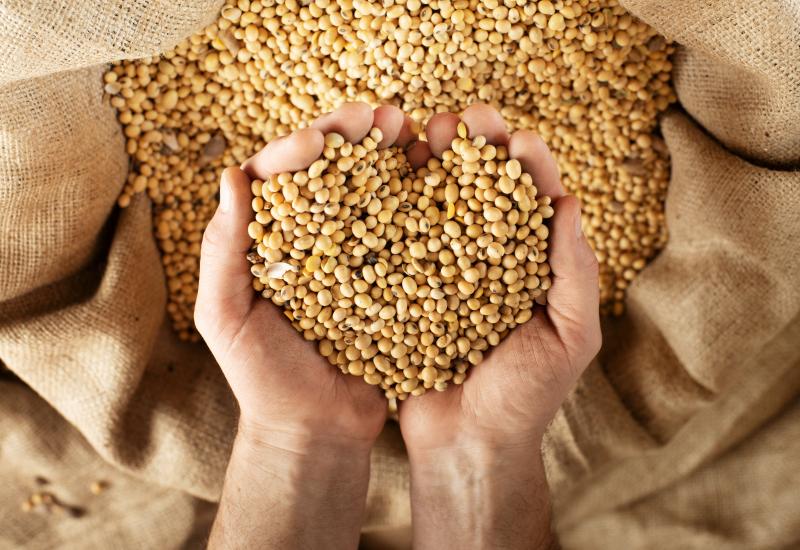 Seminário debate os desafios da liderança brasileira no mercado mundial de soja