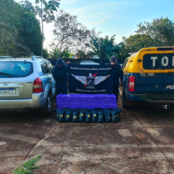 Homem é preso com veículo carregado de maconha e skank em Aral Moreira