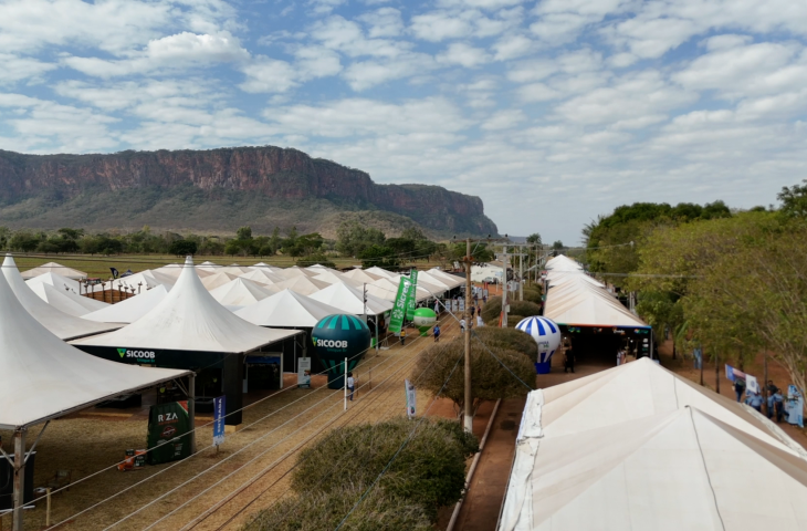 Economia criativa e agricultura familiar levam informação para o Pantanal Tech MS