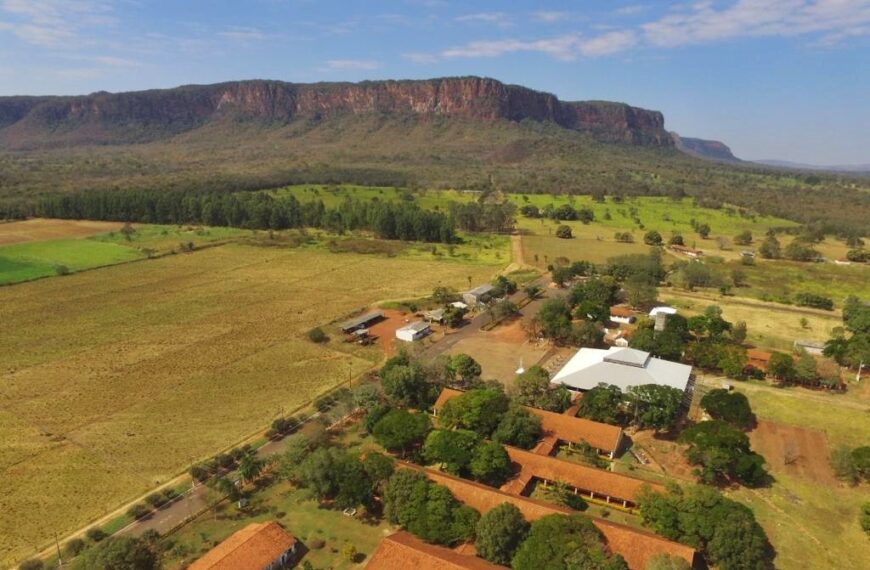 Economia Criativa e Agricultura Familiar levam shows, feiras, cultura e informação para o Pantanal Tech MS