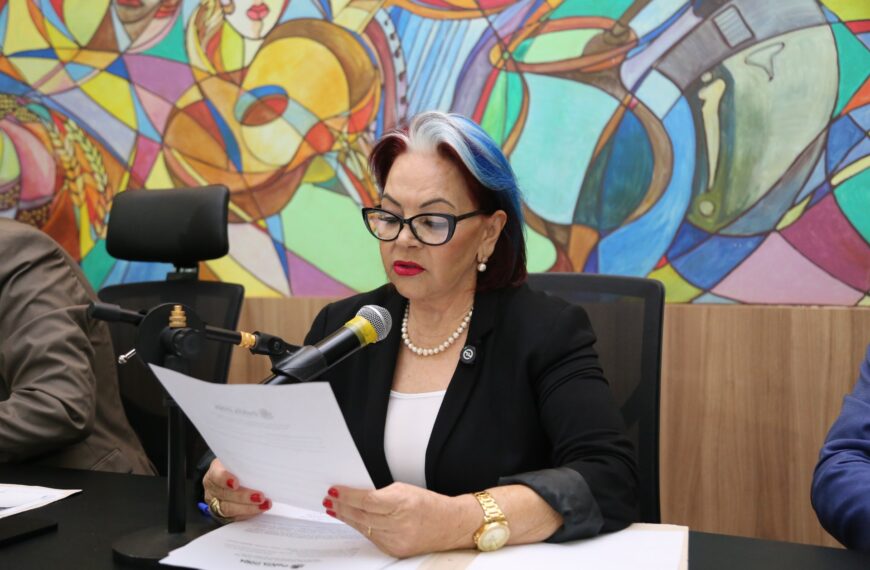 Lourdes Monteiro propõe melhorias em escolas de Sanga Puitã e São Domingos