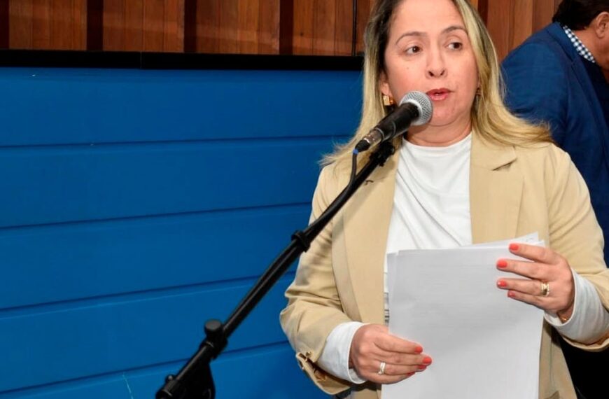 Buracos e insegurança na MS-475 motivam pedido de Lia Nogueira