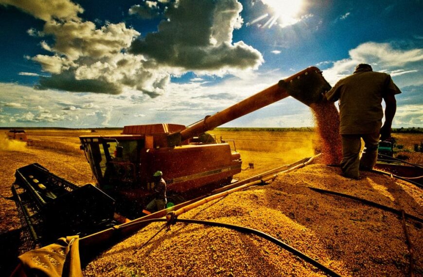 Soja no Brasil ‘ganha fôlego’ com biocombustíveis, mas enfrenta pressões externas