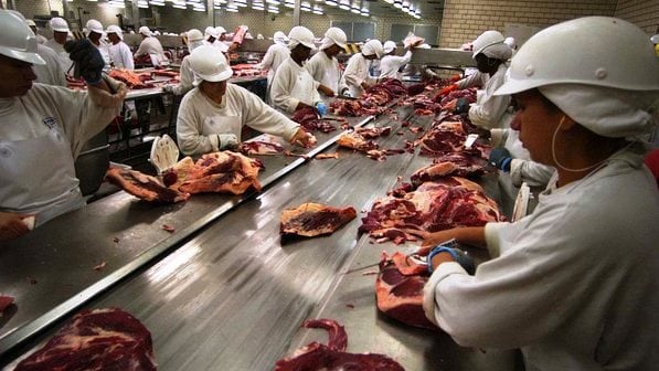 Frigoríficos em MS e GO paralisam produção de carne bovina por tarifaço de Trump