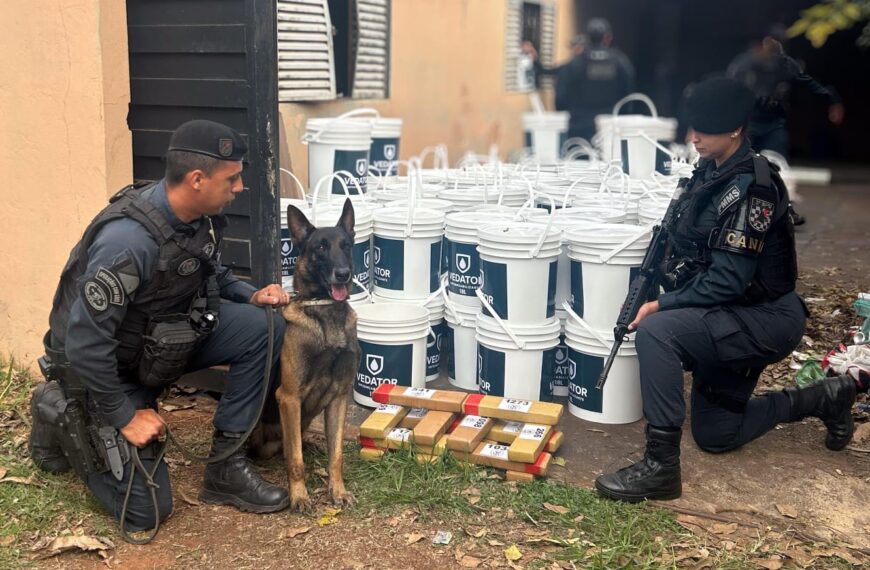 Casa abandonada escondia mais de duas toneladas de maconha em Dourados