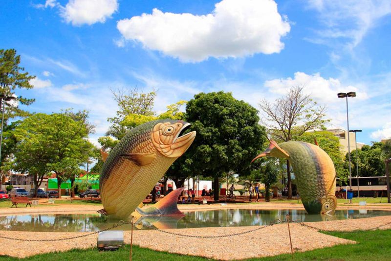 MP investiga ausência de vagas para cotistas em seleção de professores