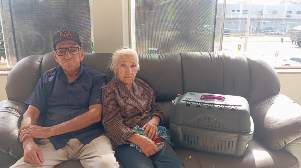 Ponta Porã: Após envenenamento de gatos no bairro Andreazza, B.O foi feito na Polícia