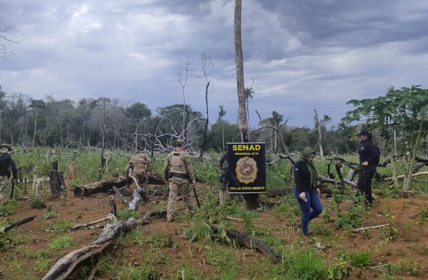 9 toneladas de maconha de são destruídas na fronteira