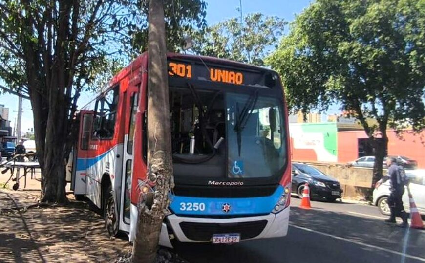 Ônibus de transporte coletivo bate em poste, árvore e fere passageiros