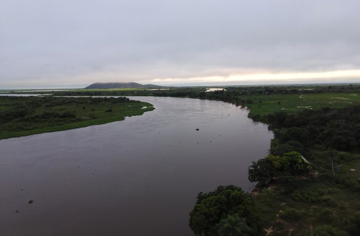 Com exemplo de MS na preservação do Pantanal, Governo Federal sanciona estatuto para o bioma