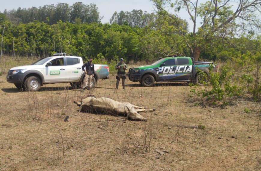 Fazendeiro é autuado por maus-tratos a 500 bovinos