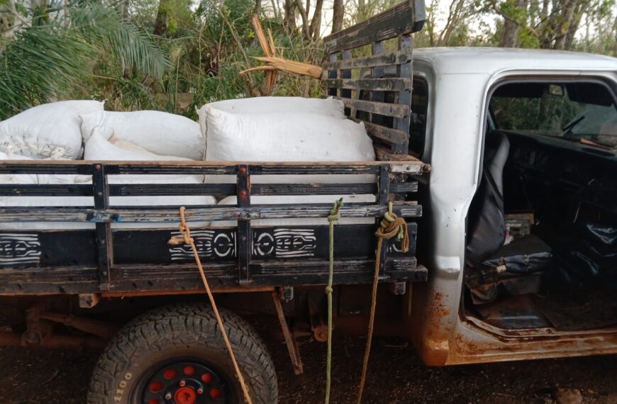 Polícia apreende mais de 1 tonelada de maconha em Pedro Juan Caballero