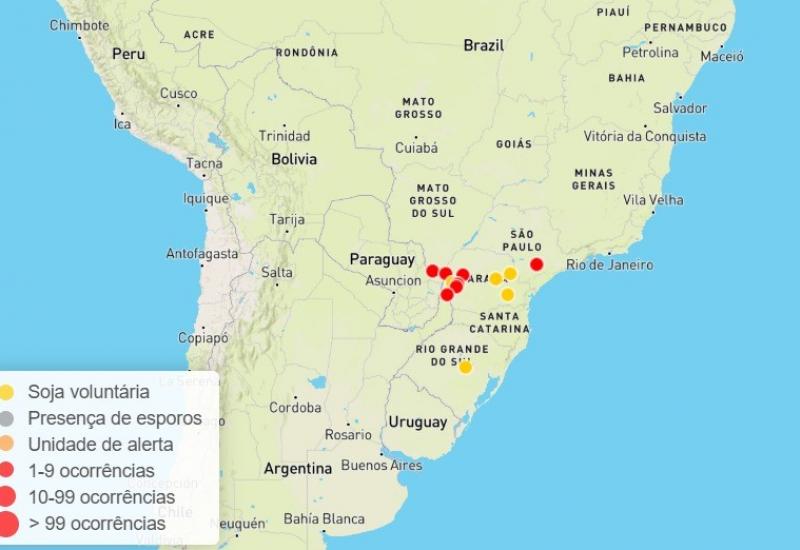 Safra 25/26: Primeiro foco de ferrugem asiática em área comercial é confirmado em MS