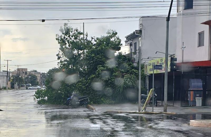 Ponta Porã: Chuvas com vento forte atinge a cidade neste sábado (10) Ponta Porã: Chuvas com vento forte atinge a cidade neste sábado (10)