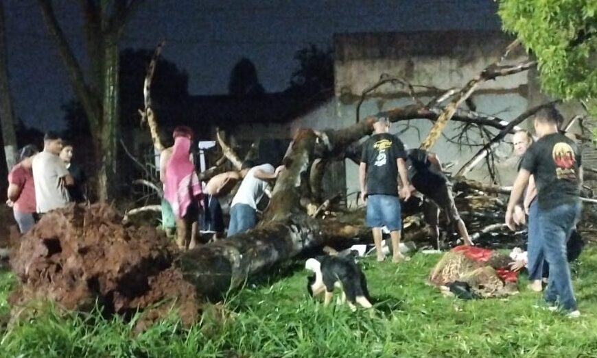 Motociclista tem fratura no ombro ao ser atingido por árvore e mulher sofre descarga elétrica